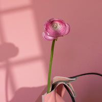 Assorted pieces - Sorbet pink - Limited edition color