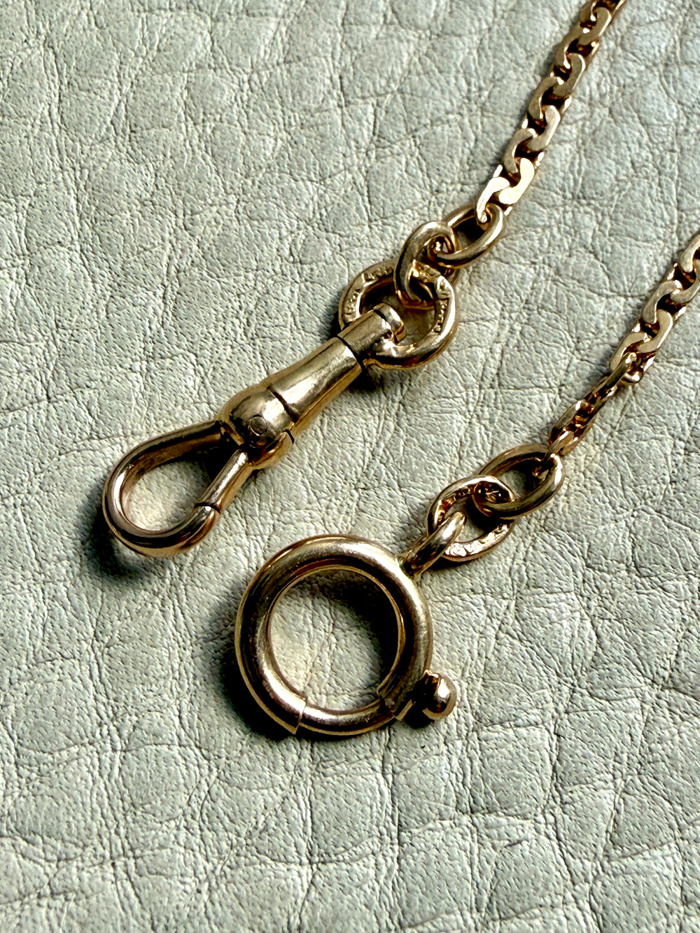 Gold chain with clasp on a textured light green background
