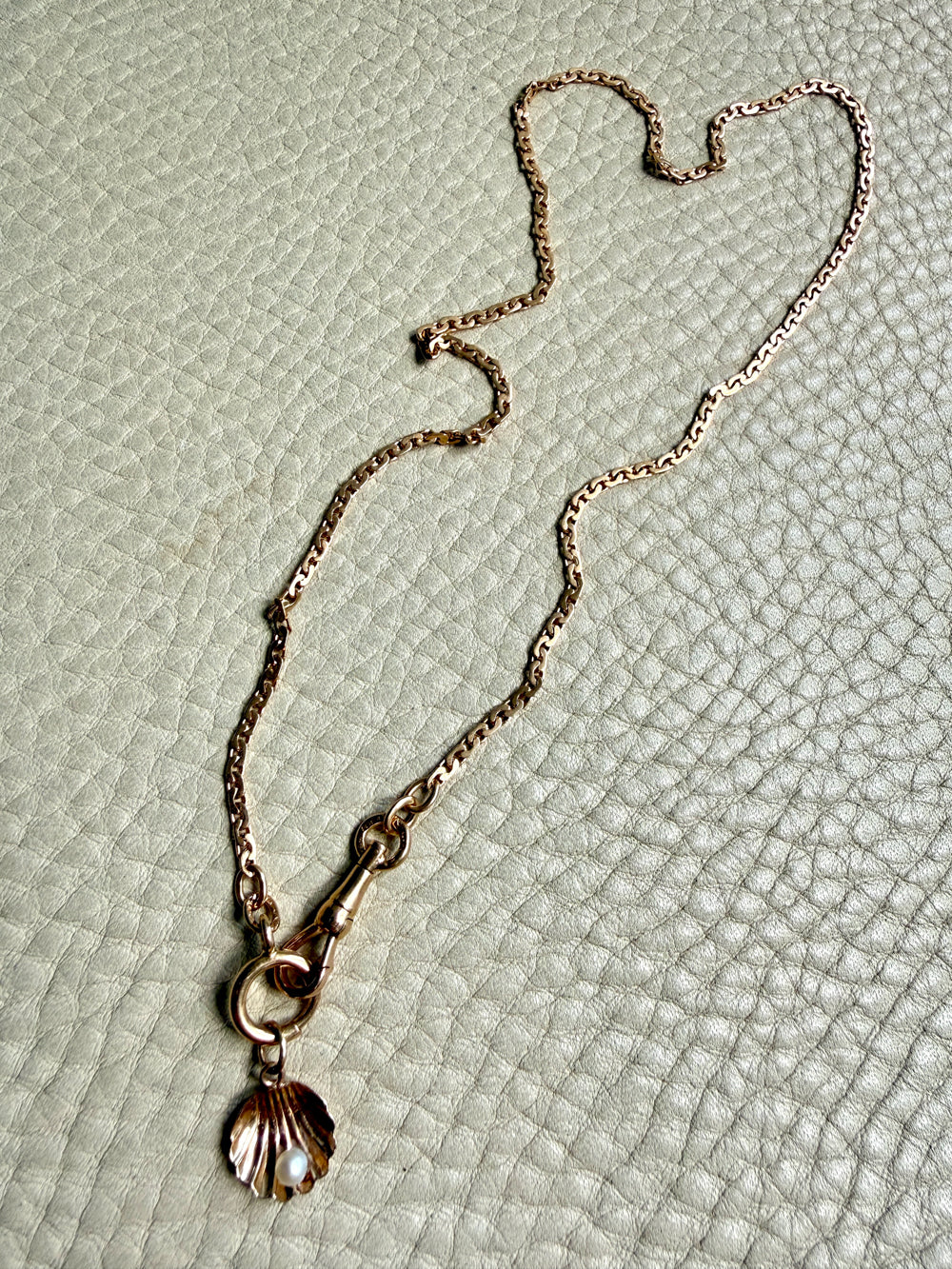 Necklace with a shell pendant on a textured light green surface