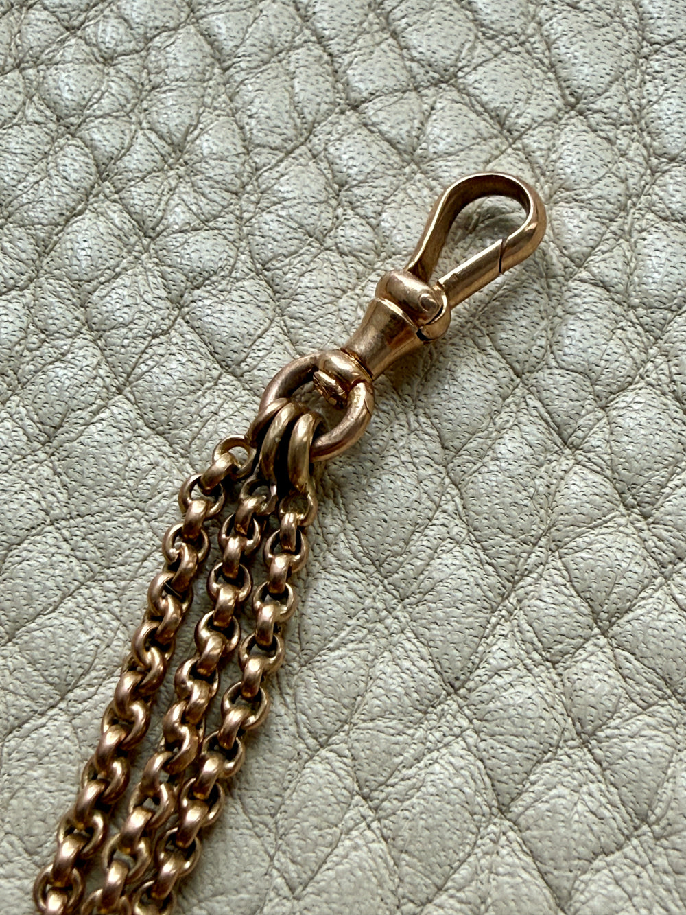 Gold chain with dog clip on a textured light gray background