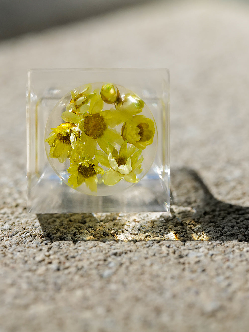 Vintage Siv Lagerström Floral Inclusion Acrylic Ring – Size 5.5